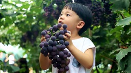 图片默认标题