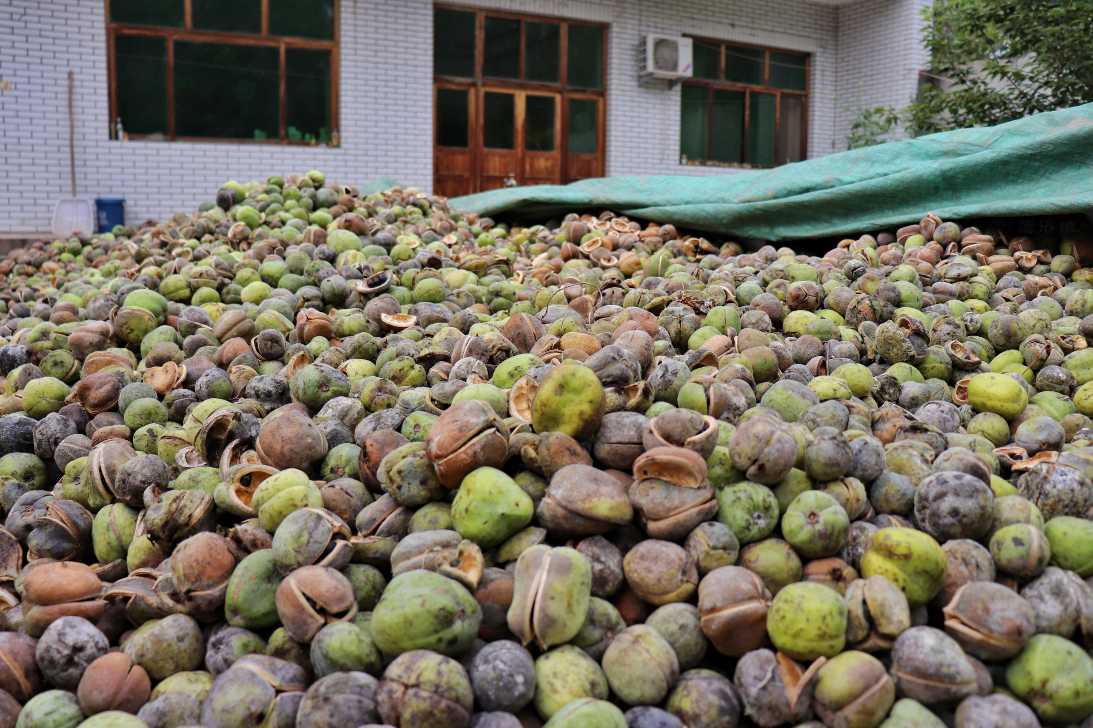 图片默认标题_fororder_2