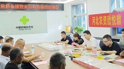 图片默认标题