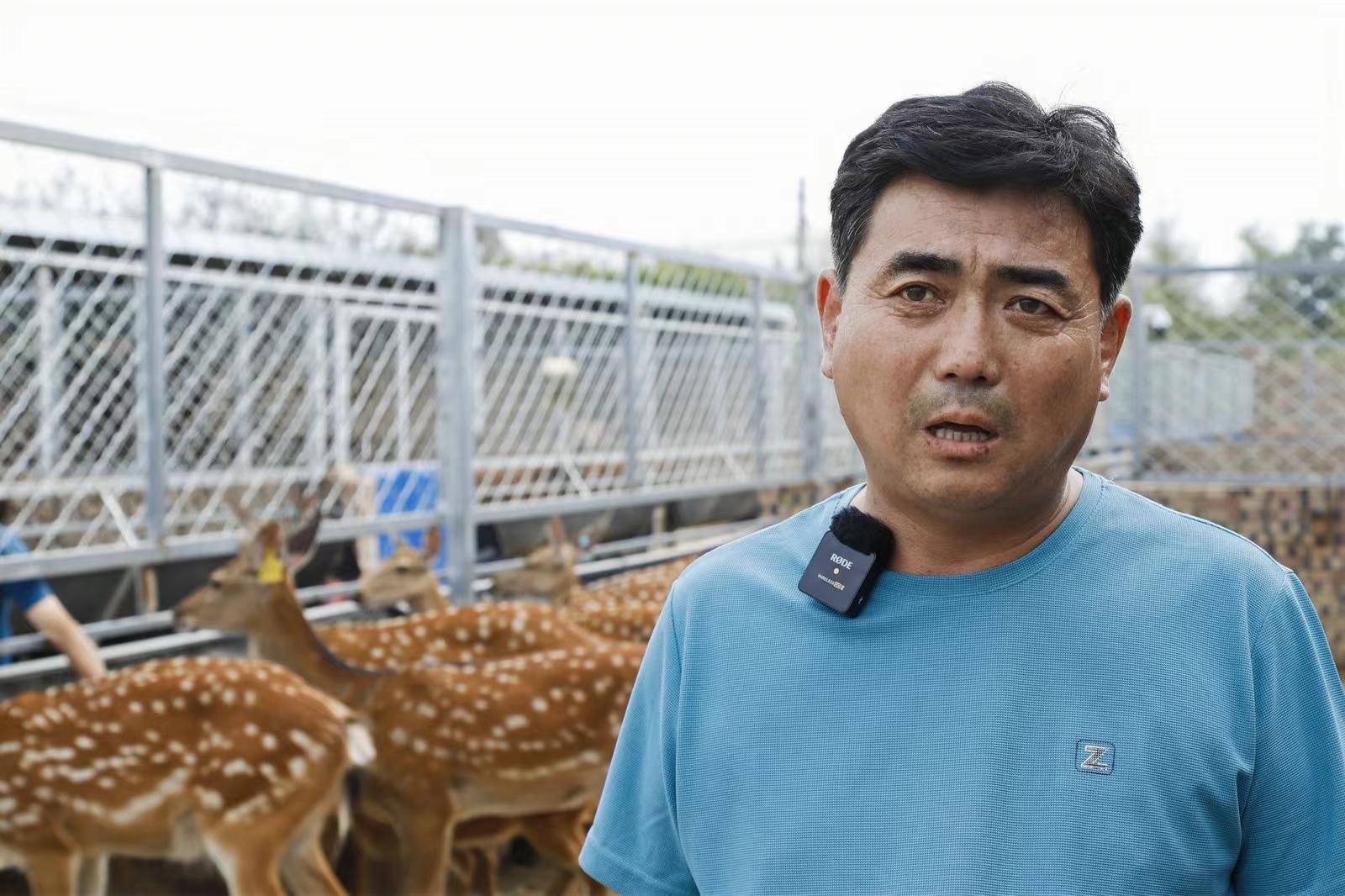 黄陵县阿党镇：致富新“鹿”子 回乡创业一“鹿”高歌