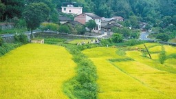 安康：以“綠”為筆 繪發展底色