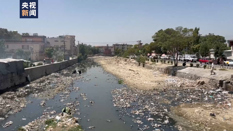 政治分析人士：美国发动阿富汗战争是彻头彻尾的错误