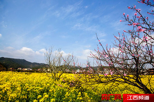 圖片默認標題 圖片默認標題