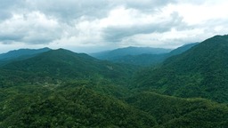 循海南熱帶雨林國家公園 覓生態之美