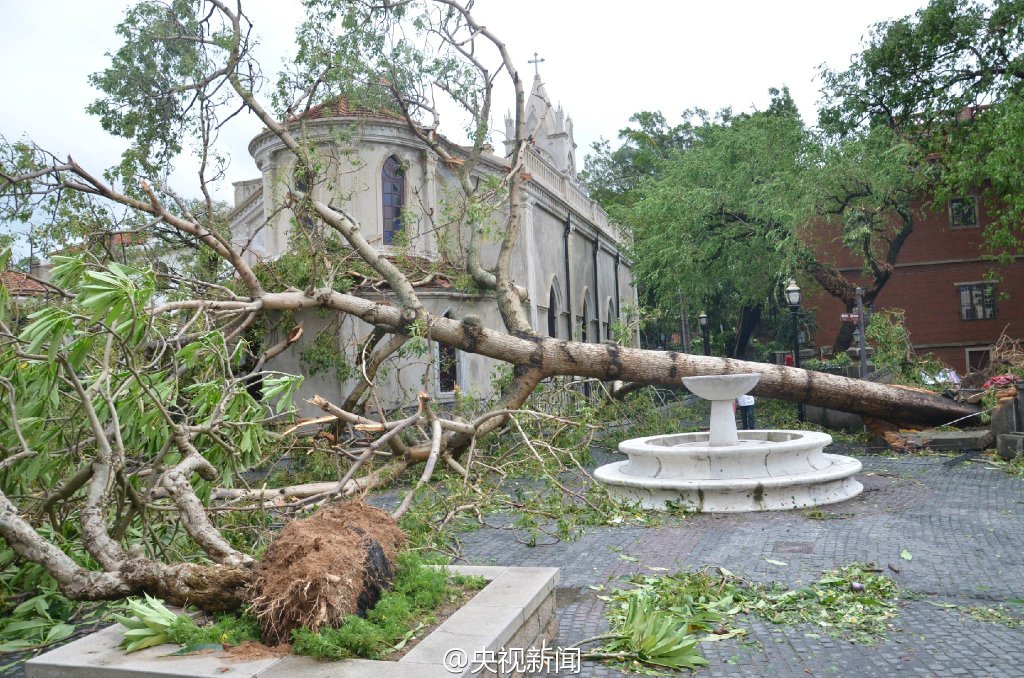 台风过后鼓浪屿满目疮痍 老树倒伏历史建筑受损(组图)