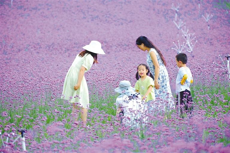 六盘水：念好“山”字经，精品景区竞相争辉_fororder_六盘水