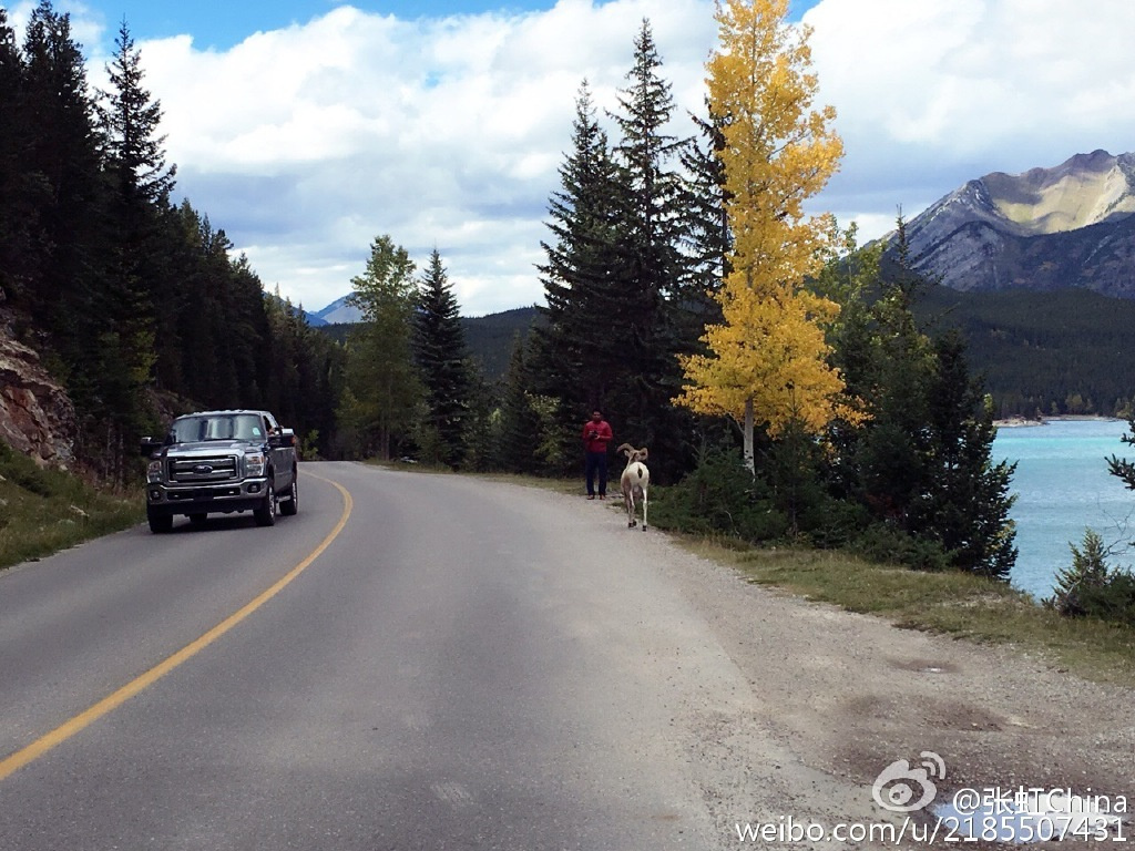 组图：中国速滑名将晒照 张虹坐林中小路笑开颜