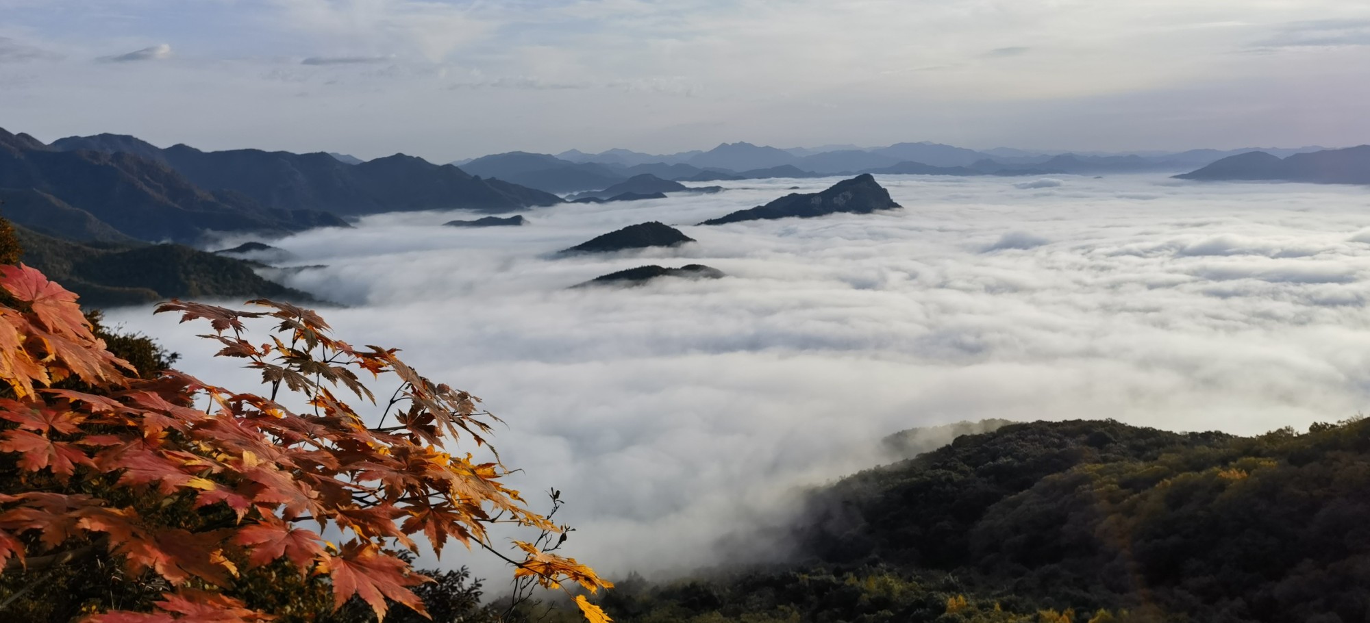 丹東寬甸：雲海日出映紅楓