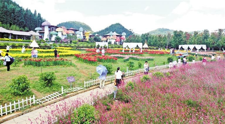 贵州兴义：游人徜徉花海_fororder_中首1