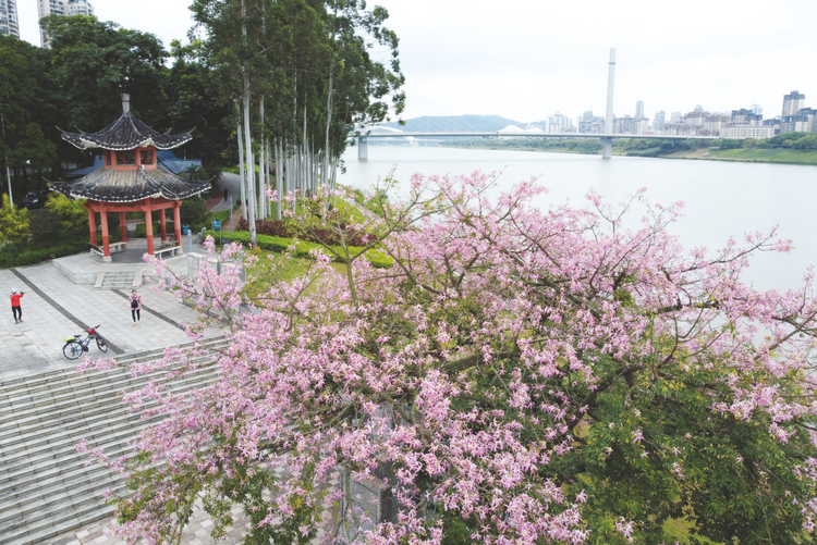 “环广西”赛事期间 天气仍凉还有雨