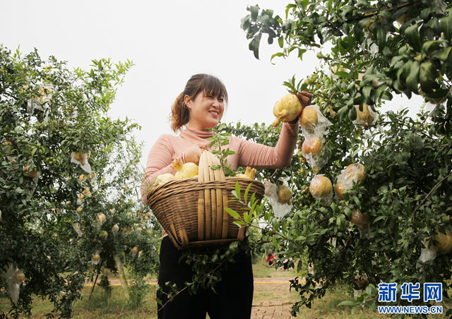 安徽蚌埠美丽乡村好丰景