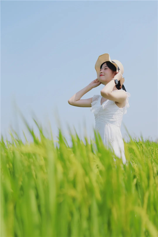 武汉江夏：万亩稻田好“丰”景_fororder_04