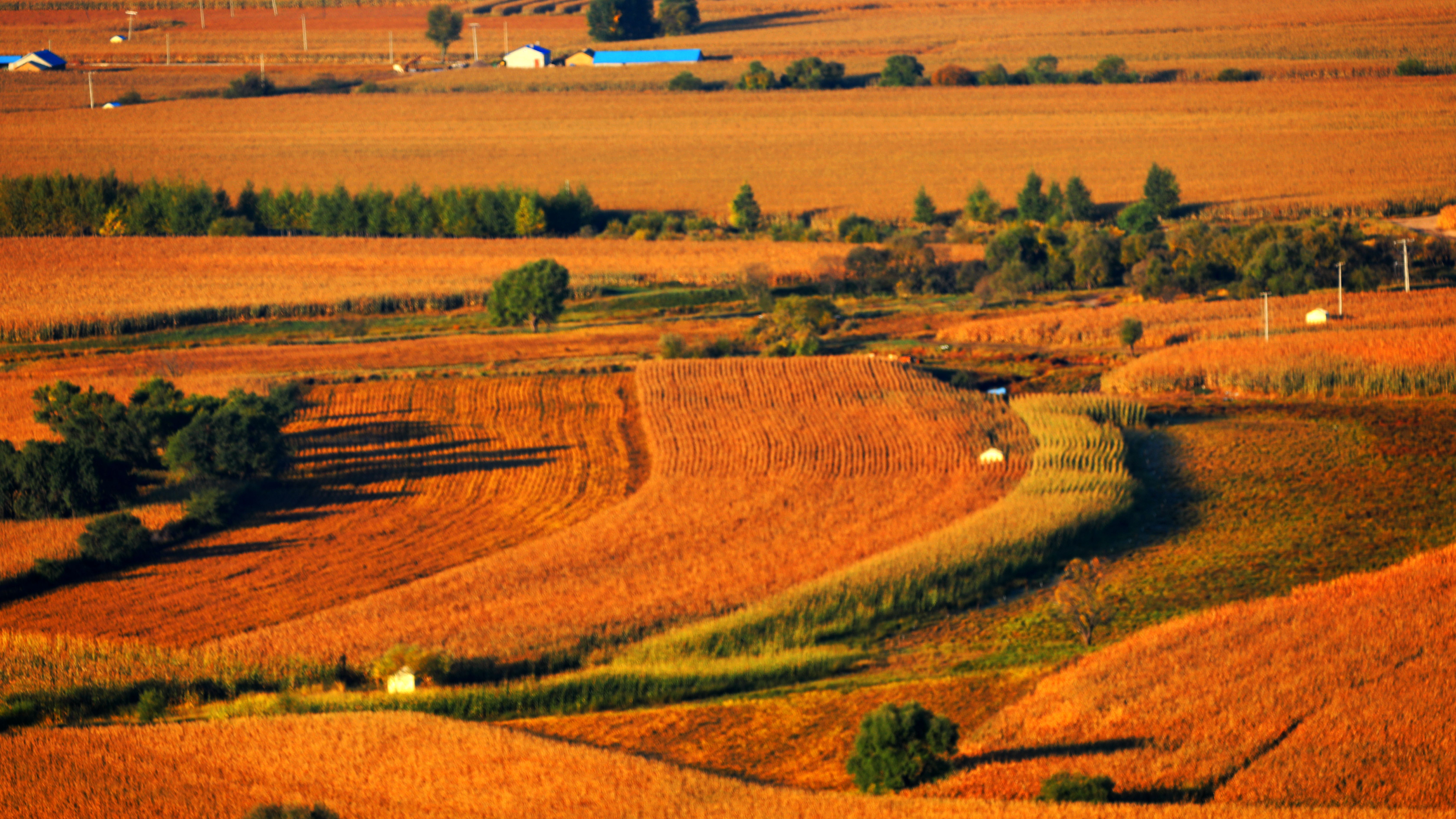 层林尽染 秋景如画_fororder_微信图片_20231012101858