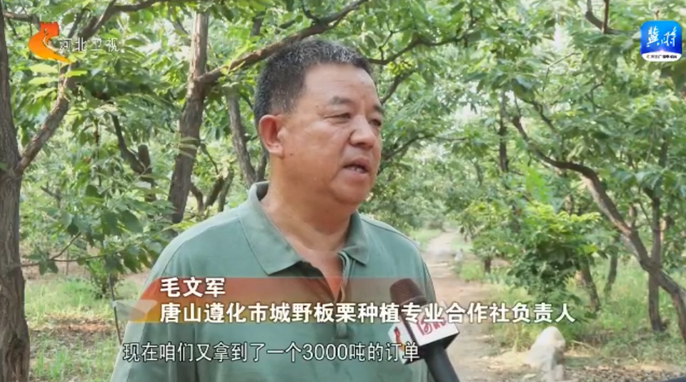 京津冀农业协同发展 鼓起共富“钱袋子”