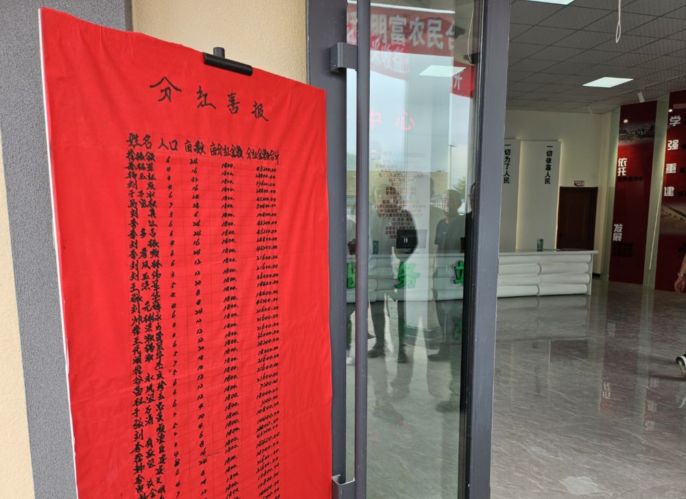 挑起为农服务“金扁担”——从“依安模式”看黑龙江省基层供销合作社改革实践_fororder_图片2