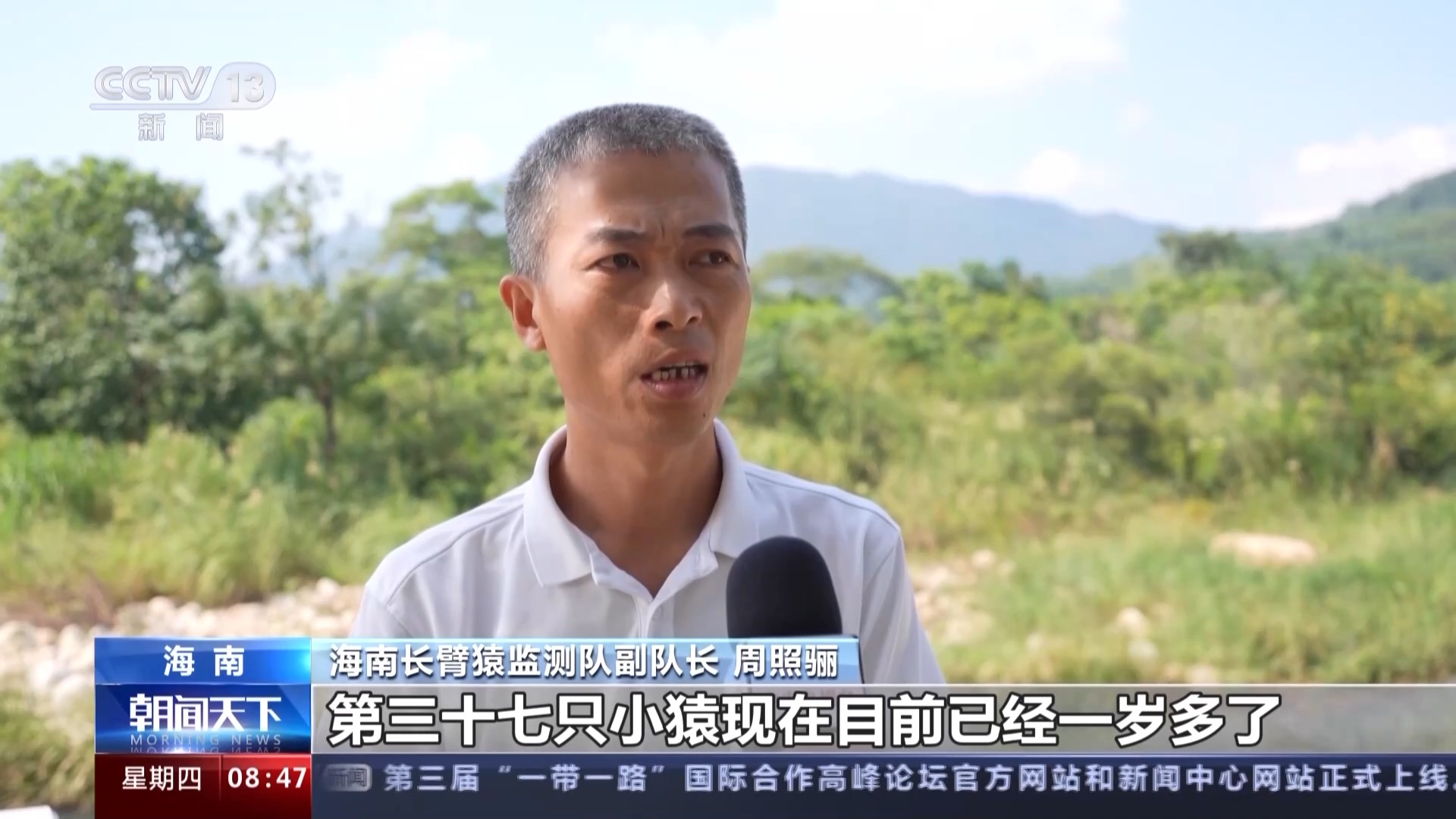海南熱帶雨林國家公園：長臂猿種群數量穩步增長 中華穿山甲罕見亮相