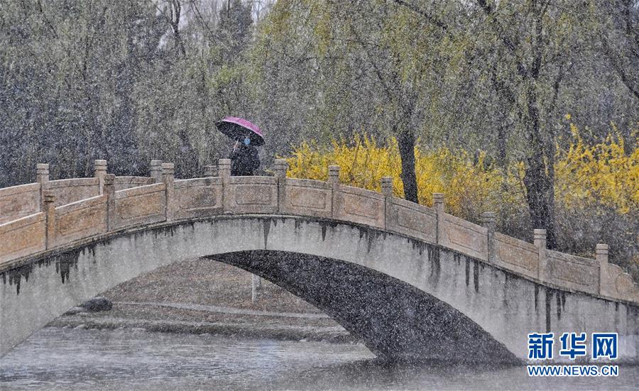 北京：燕山脚下春雪飘