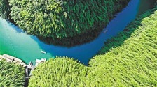 重庆彭水：畅游竹海 乐享生态美