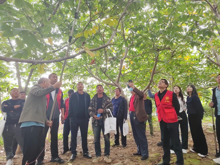 图片默认标题_fororder_3