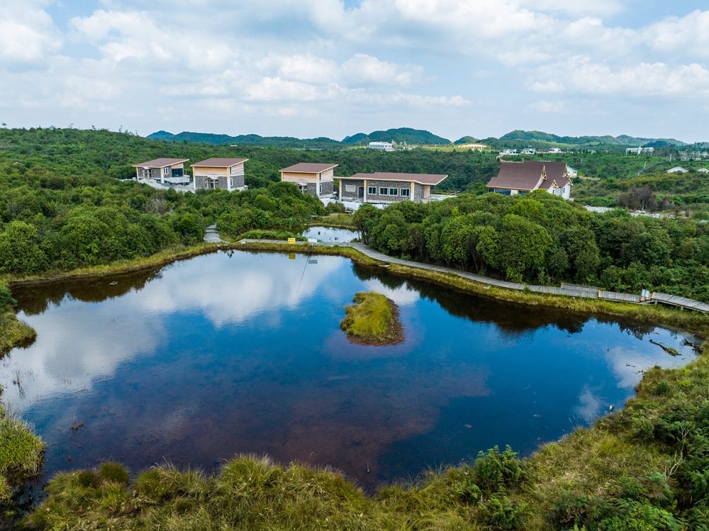 貴州畢節：建草原景點豐富山地旅遊_fororder_2023年9月2日，在貴州省畢節市百里杜鵑管理區方家坪景區裏拍攝的美景。 (2)