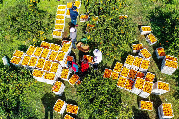 荆门漳河新区：建设“清廉村居” 绘就乡村振兴“廉洁底色”_fororder_图片3