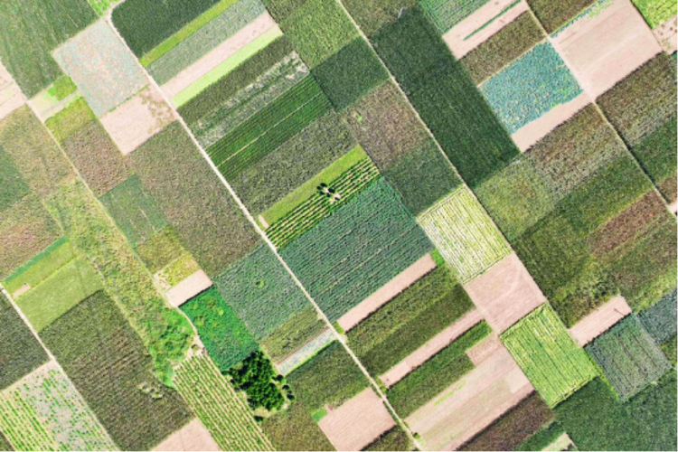 河北威县：秋日乡村美如画_fororder_微信图片_20230915101216