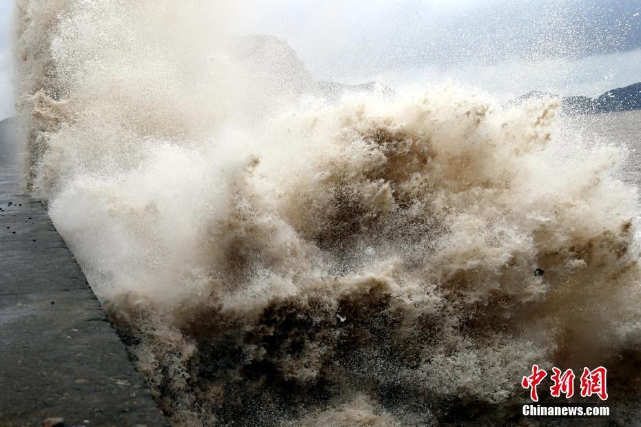 浙江温岭市海域遭遇狂风,暴雨,高潮"三碰头"的局面,温岭市石塘镇钓浜