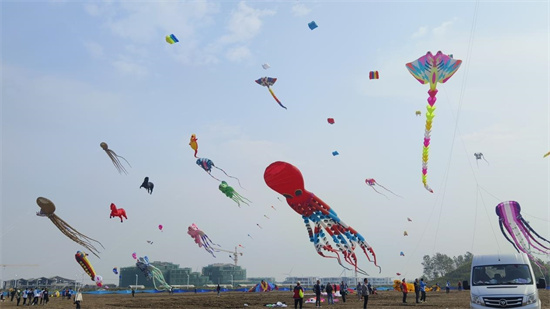 喜迎風箏盛會 全國風箏邀請賽在南通如東正式開賽_fororder_圖片9