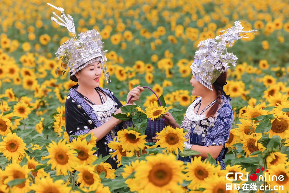 貴州鍾山：60余畝向日葵花海成市民新“打卡地”_fororder_微信圖片_20230914161316