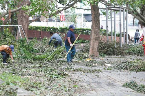 台风“莫兰蒂”重创果农 全台农业损失近8亿