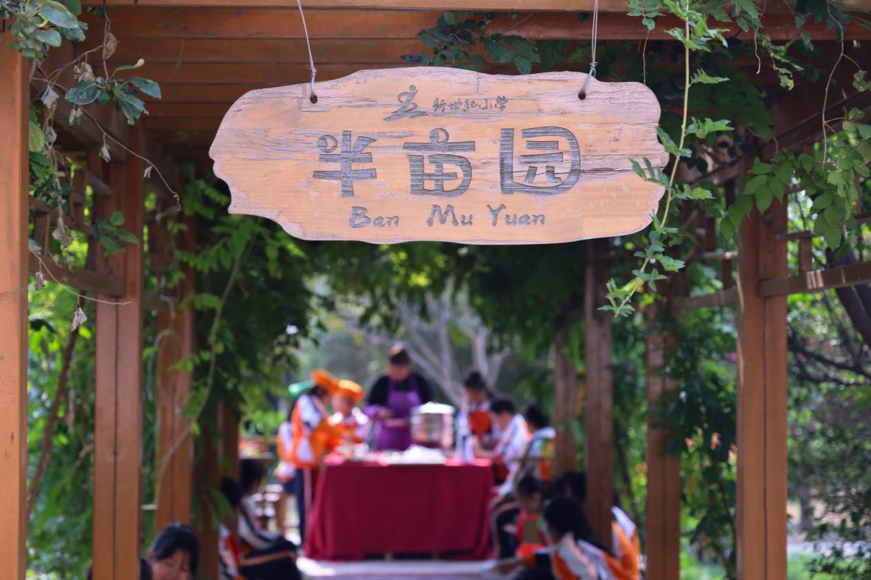 沧州运河区：校园“小厨”点亮多彩劳动课堂_fororder_图片7