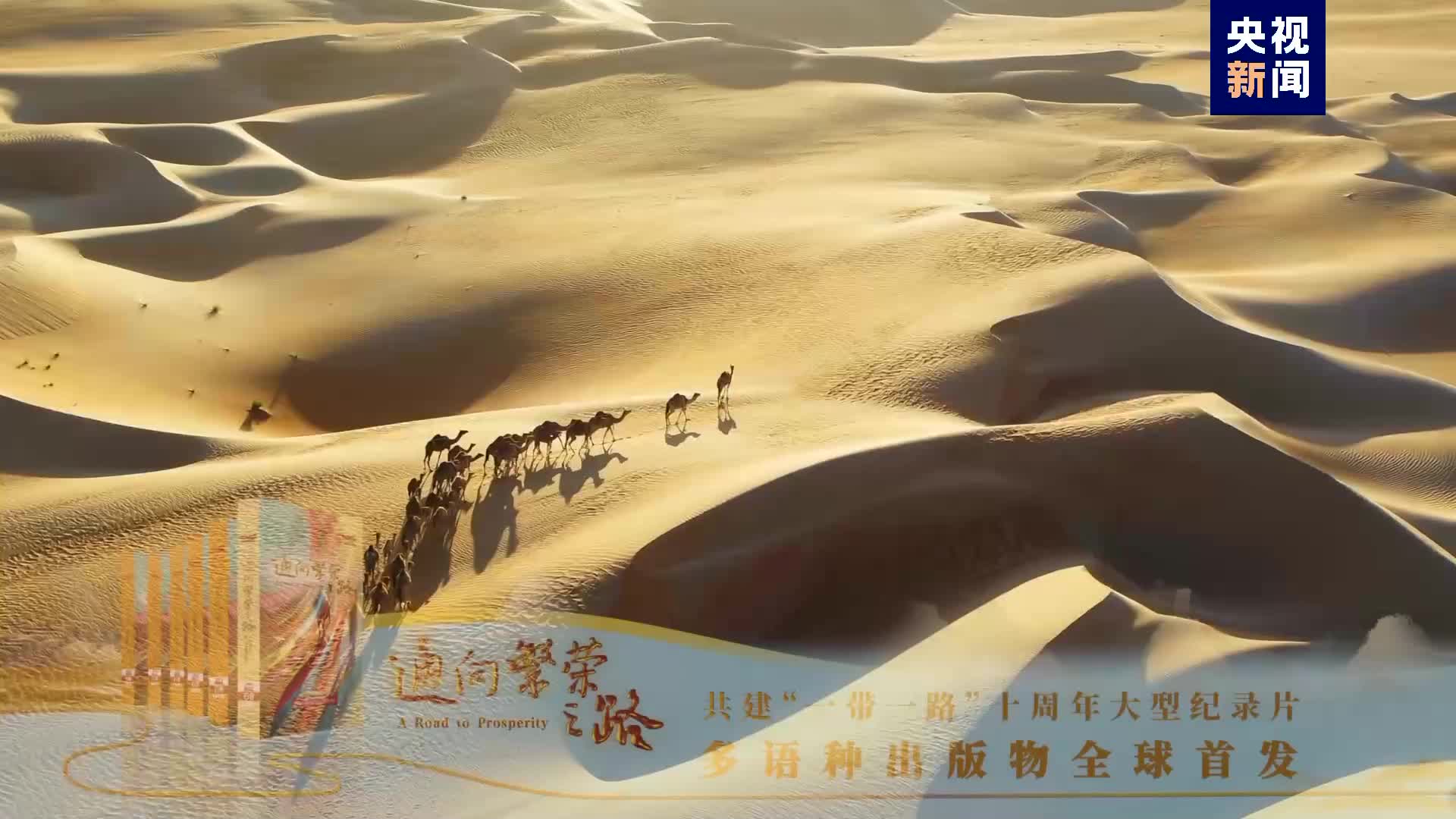 全球发行共建一带一路十周年大型纪录片通向繁荣之路多语种出版物发布
