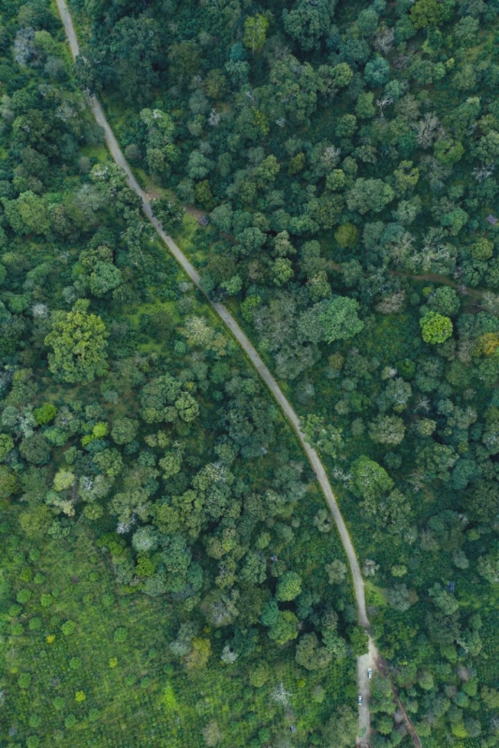 申遗成功！中国“茶”主题项目填补世界遗产名录空白