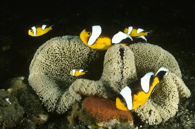 沙尘暴漫卷中国北方 “洗肺天堂”塞班有直航