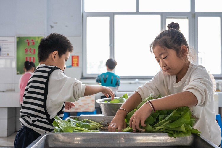 河北柏鄉:“蔬”地知艱 珍惜“糧”緣_fororder_微信圖片_20231018151412