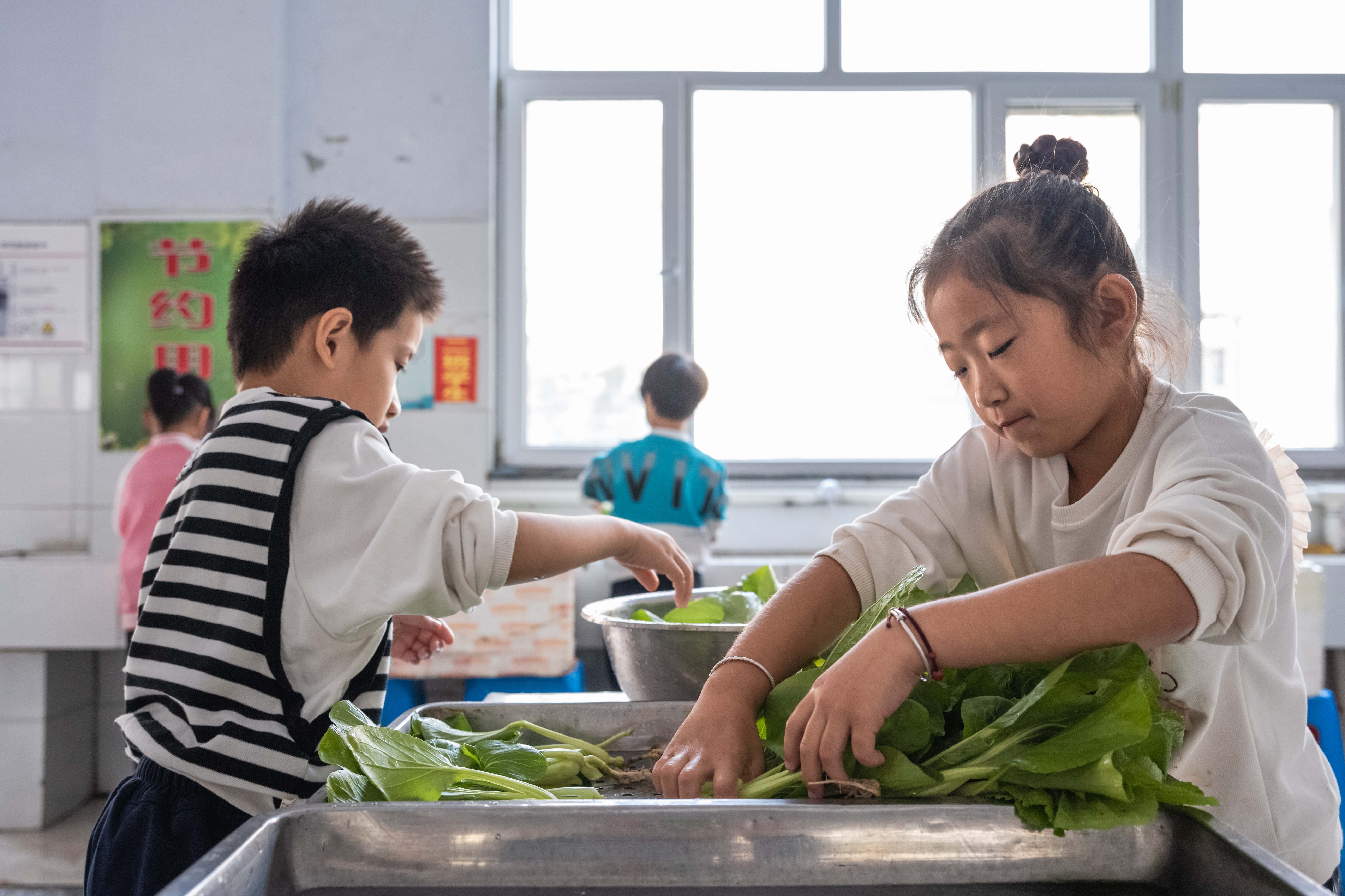河北柏乡：“蔬”地知艰 珍惜“粮”缘_fororder_微信图片_20231018151412
