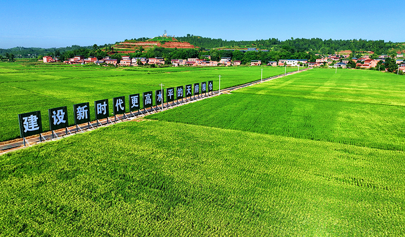 眉山仁寿：农旅融合 绘就乡村振兴“新画卷”_fororder_航拍仁寿县方家镇水池村稻田-供图-仁寿县委宣传部