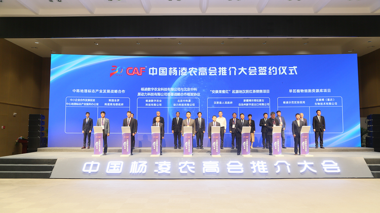 交流互鑒 共創未來 為世界農業搭建一流交流合作平臺_fororder_圖片7