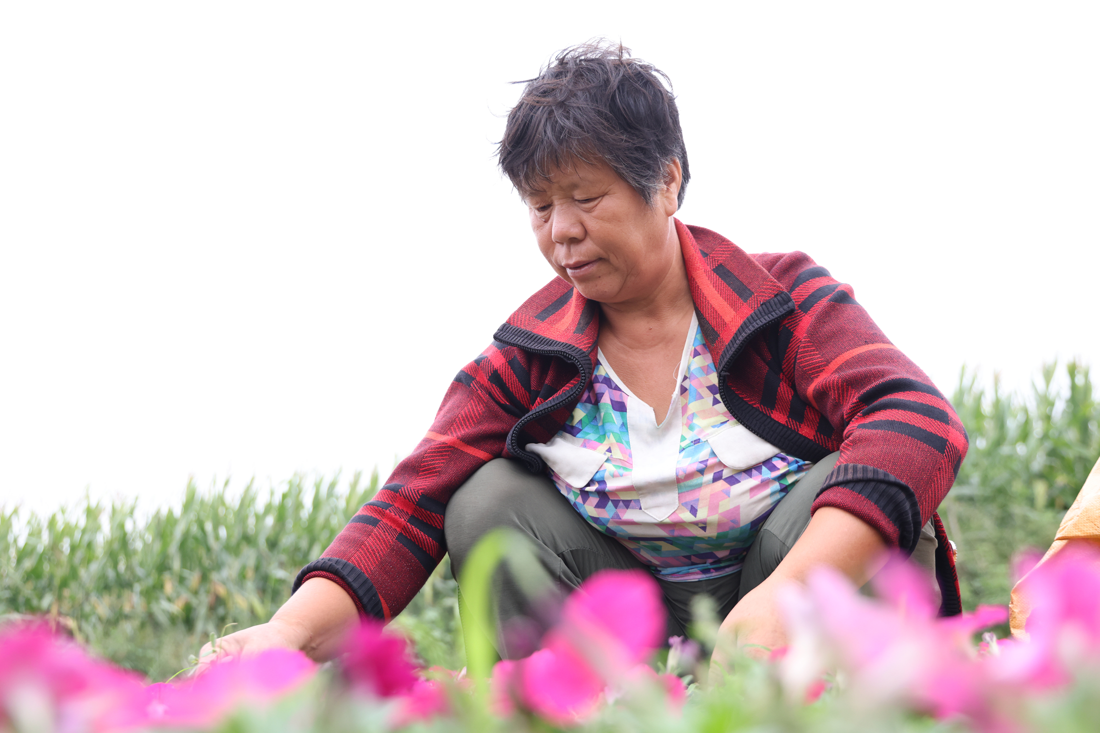 图片默认标题_fororder_3