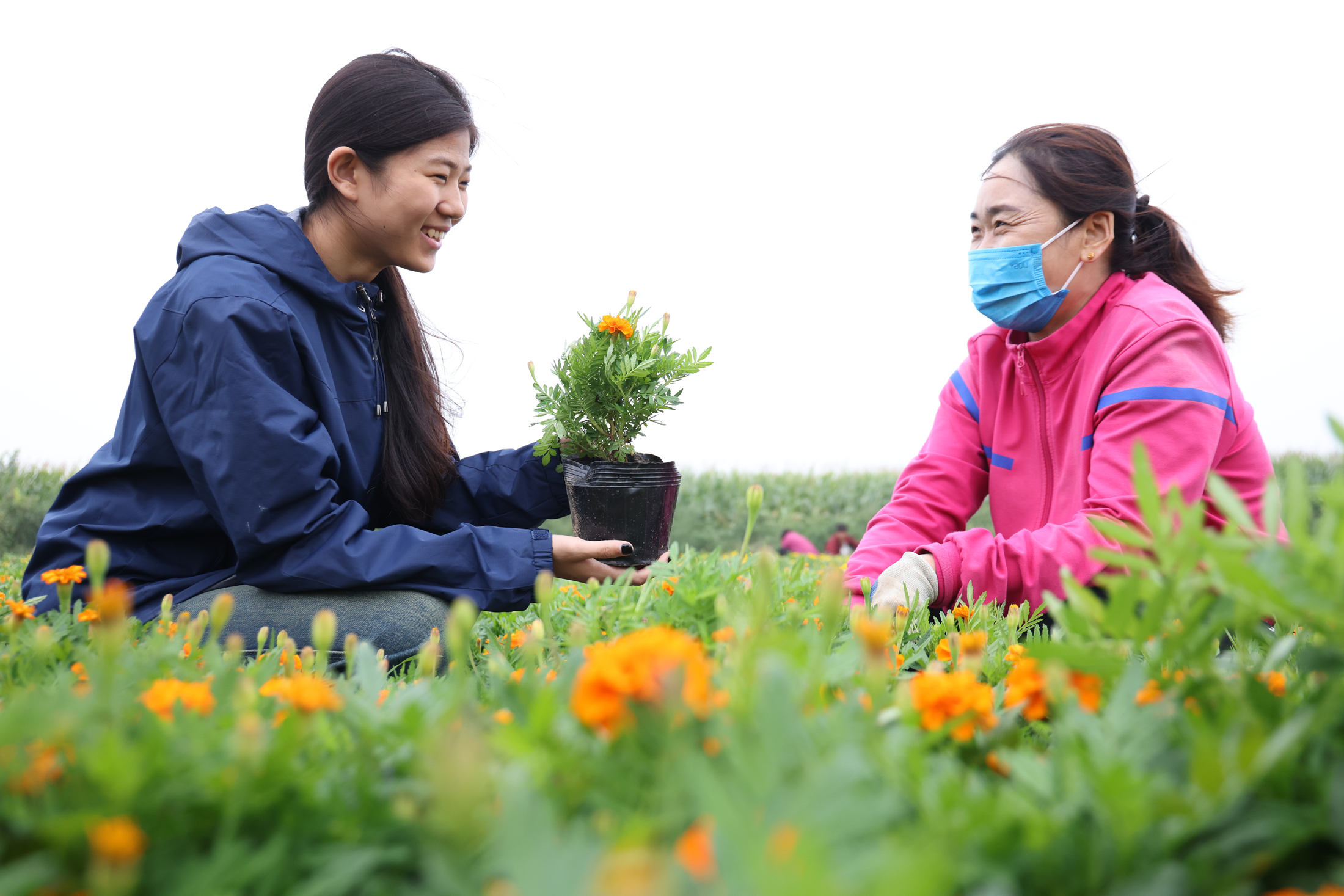 图片默认标题_fororder_4