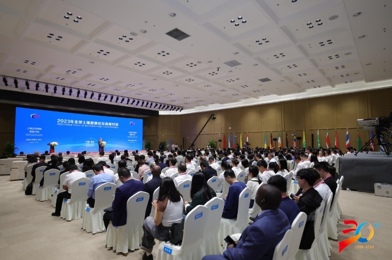 《杨凌倡议》有望扭转土壤退化趋势