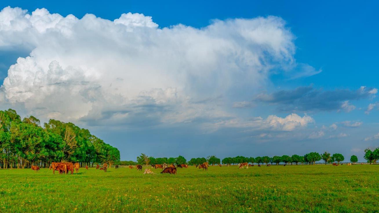 鄂托克前旗：風光旖旎 景色如畫