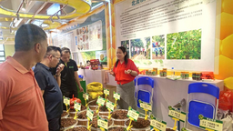 130多家中外香料企业“香”聚玉林   达成贸易成交额75.43亿元