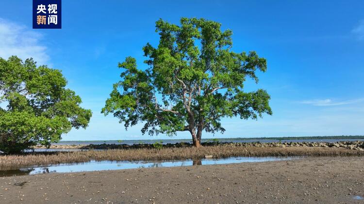 新发现、新记录！海南三亚生物多样性调查家底大揭秘_fororder_20230921009