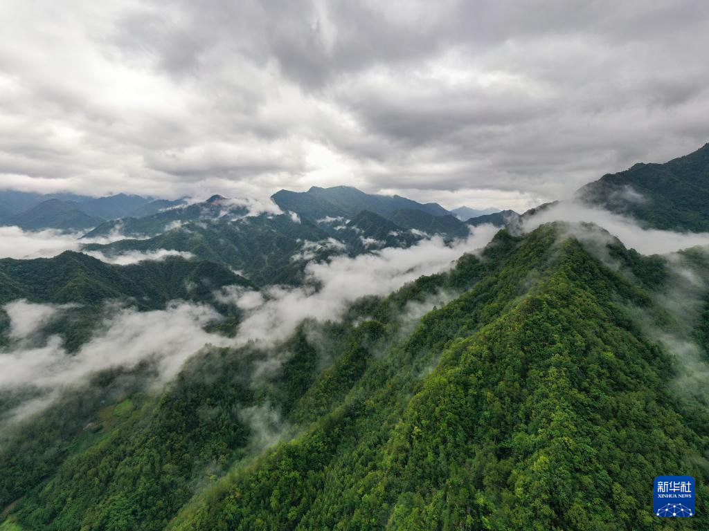 重庆城口：云雾缭绕大巴山
