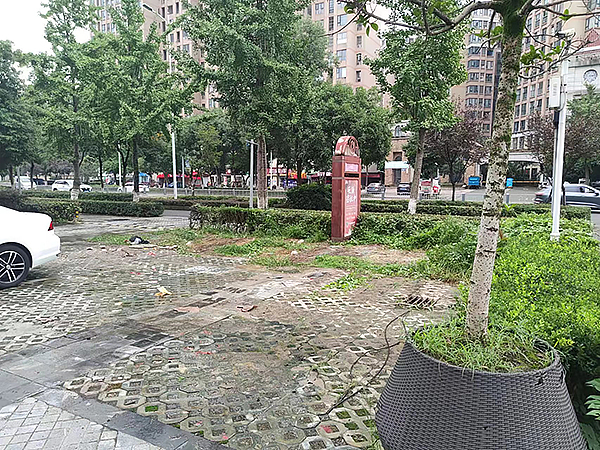 成都：跟大件垃圾说再见 还市民一个干净整洁的家园_fororder_清理后现场图（2）供图-成都市城管委