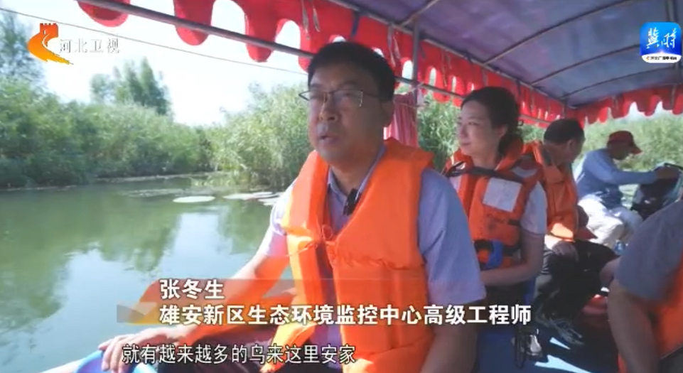 走雄安 看生態 | 不讓一滴污水流入白洋淀