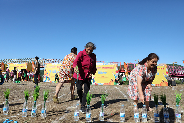 德阳市中江县举行2023年中国农民丰收节活动_fororder_插秧苗比赛