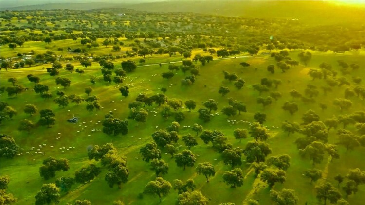 賞不盡的生態鄂托克前旗之美_fororder_44