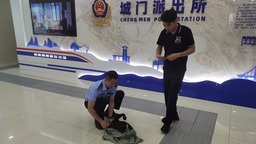 福州警民聯手 共救受傷黑天鵝
